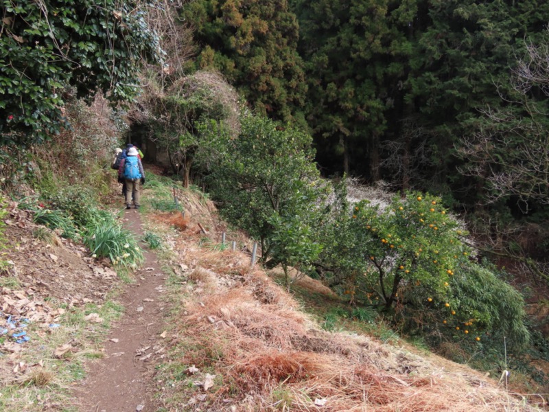 日和田山、物見山